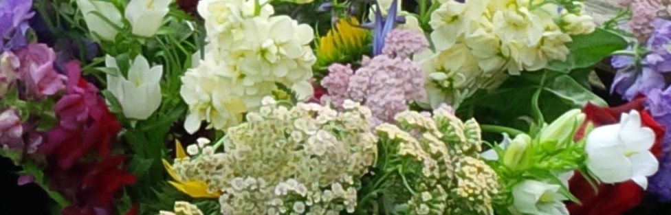 Join Our New Community Supported Agriculture Scheme (CSA).
