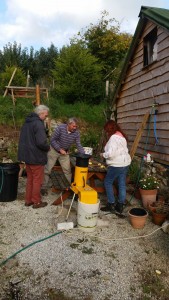 The apple pulping team